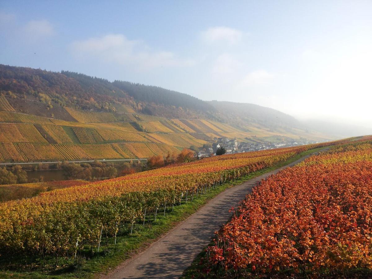 Weingut-Brennerei-Gaestehaus Emil Dauns Reil Ngoại thất bức ảnh