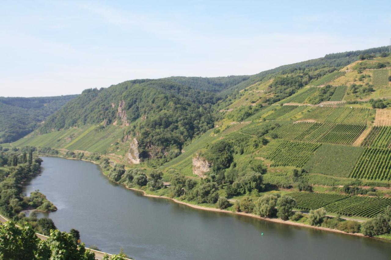 Weingut-Brennerei-Gaestehaus Emil Dauns Reil Ngoại thất bức ảnh
