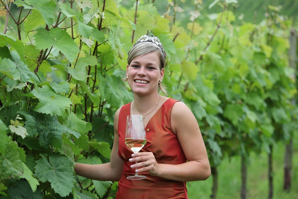 Weingut-Brennerei-Gaestehaus Emil Dauns Reil Ngoại thất bức ảnh