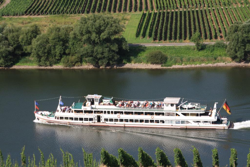 Weingut-Brennerei-Gaestehaus Emil Dauns Reil Ngoại thất bức ảnh