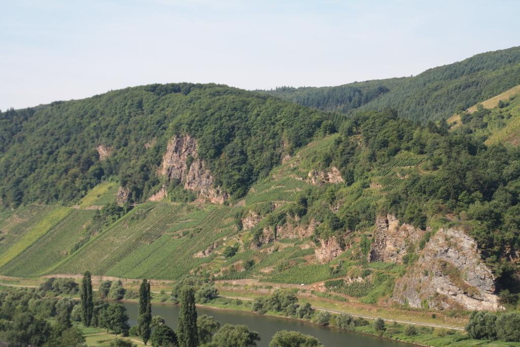 Weingut-Brennerei-Gaestehaus Emil Dauns Reil Ngoại thất bức ảnh