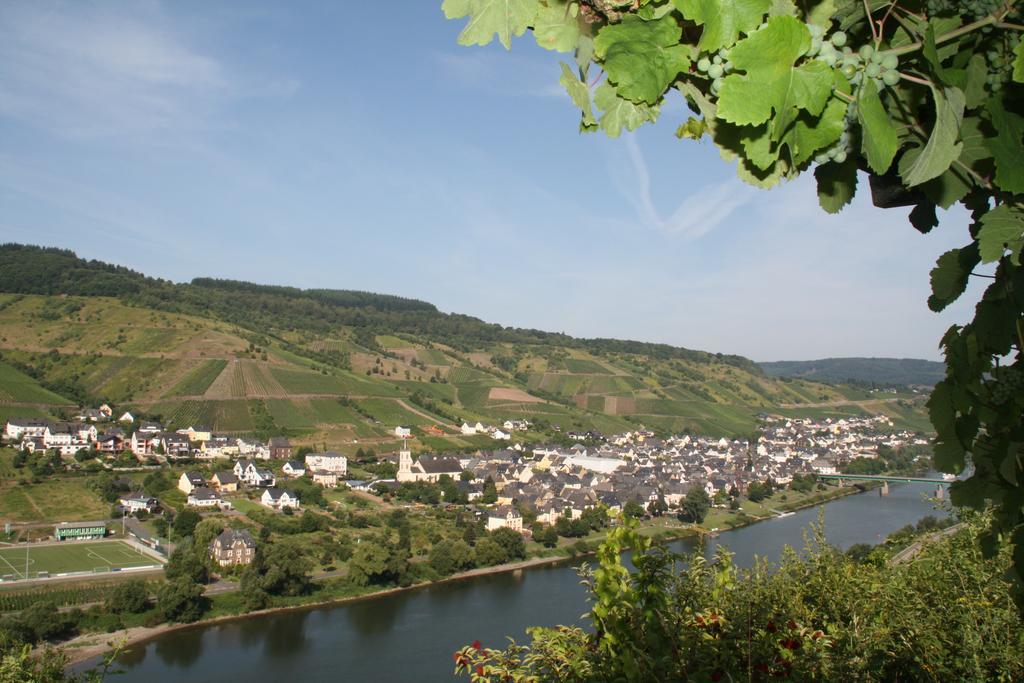 Weingut-Brennerei-Gaestehaus Emil Dauns Reil Ngoại thất bức ảnh