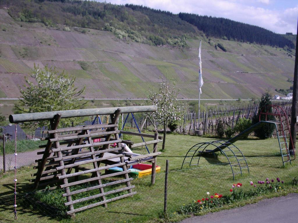 Weingut-Brennerei-Gaestehaus Emil Dauns Reil Ngoại thất bức ảnh