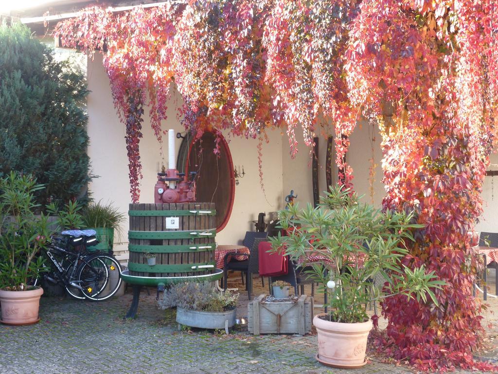 Weingut-Brennerei-Gaestehaus Emil Dauns Reil Ngoại thất bức ảnh
