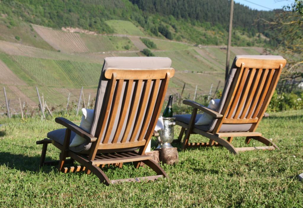 Weingut-Brennerei-Gaestehaus Emil Dauns Reil Ngoại thất bức ảnh