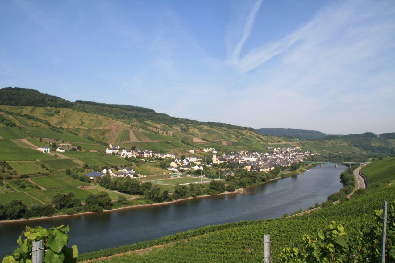 Weingut-Brennerei-Gaestehaus Emil Dauns Reil Ngoại thất bức ảnh