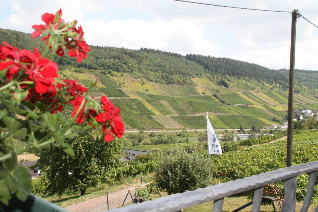 Weingut-Brennerei-Gaestehaus Emil Dauns Reil Ngoại thất bức ảnh