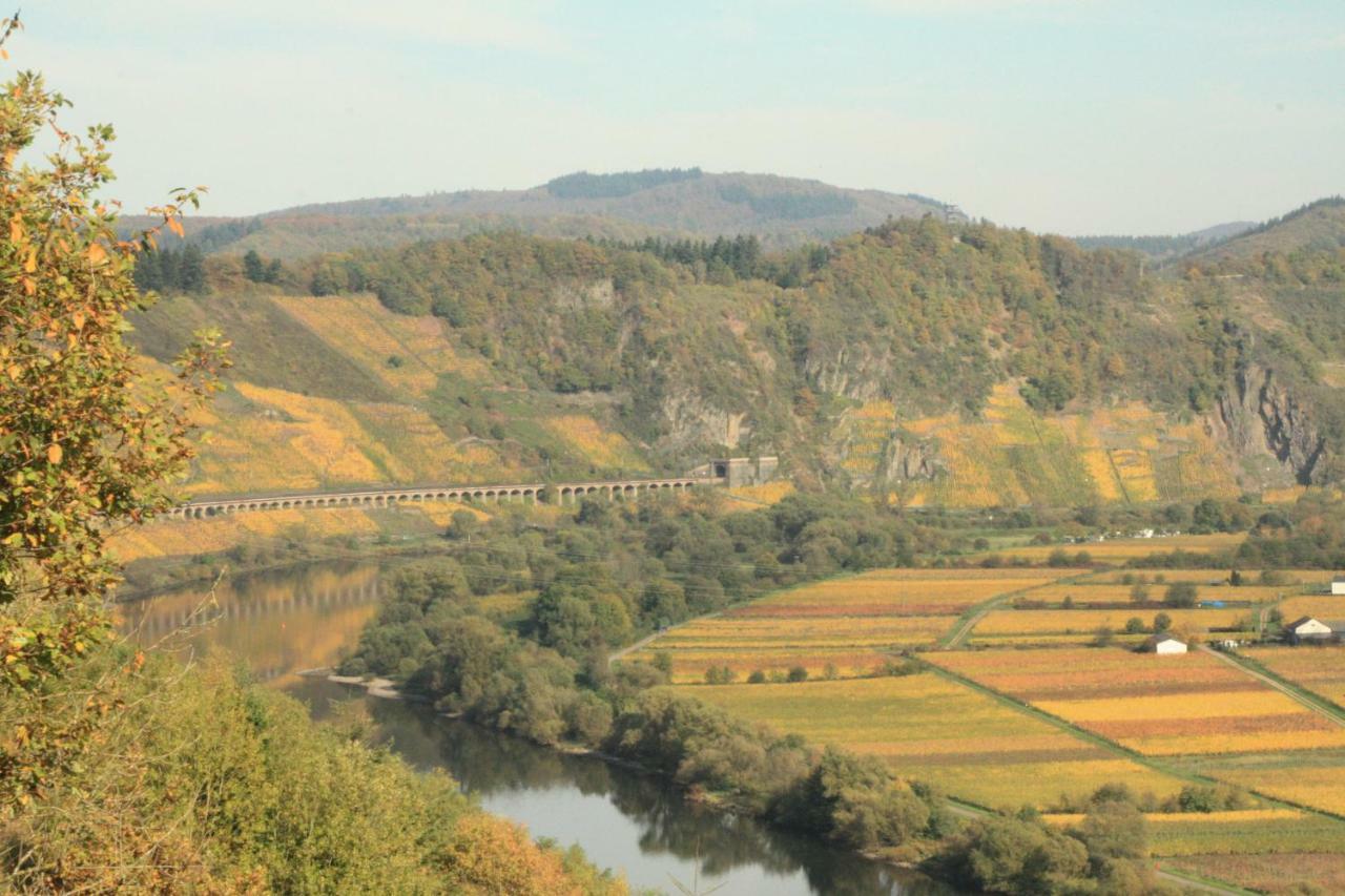 Weingut-Brennerei-Gaestehaus Emil Dauns Reil Ngoại thất bức ảnh